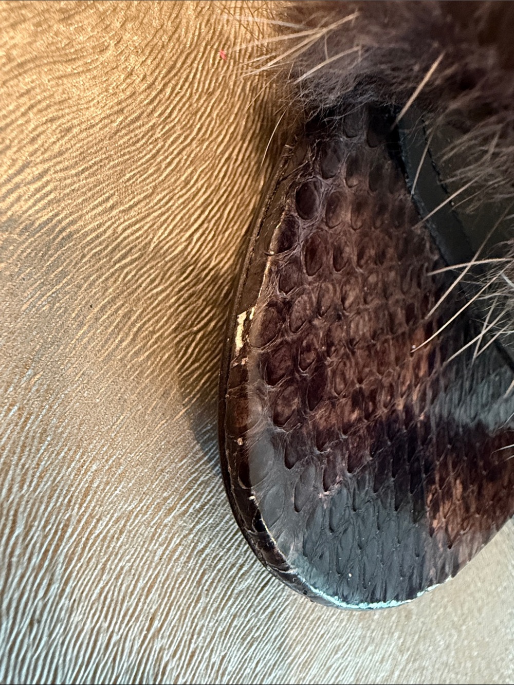 Salvatore Ferragamo Dark Grey Mink Fur and Python Leather Cage Sandals. - Picture 10 of 10